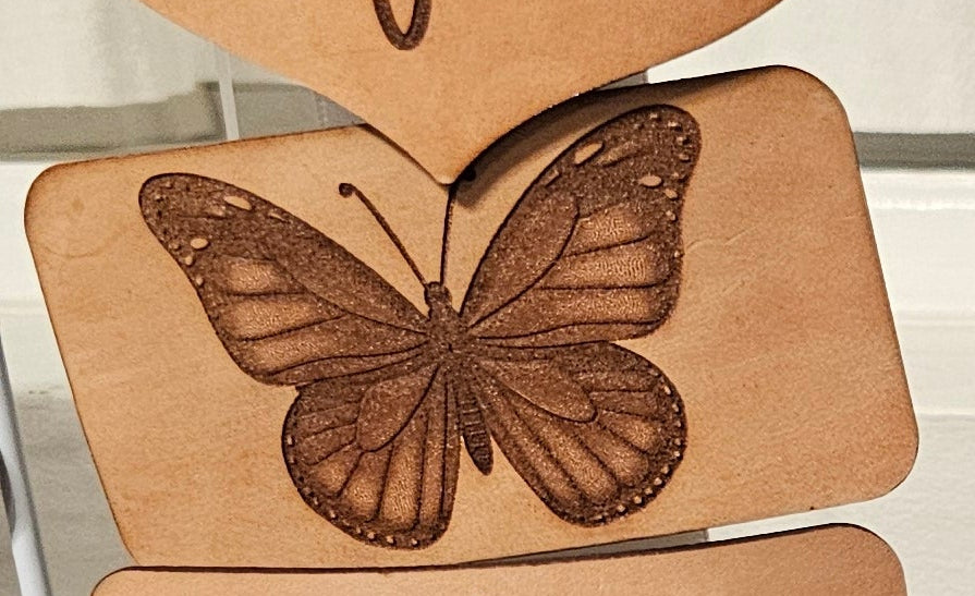 Butterfly 1