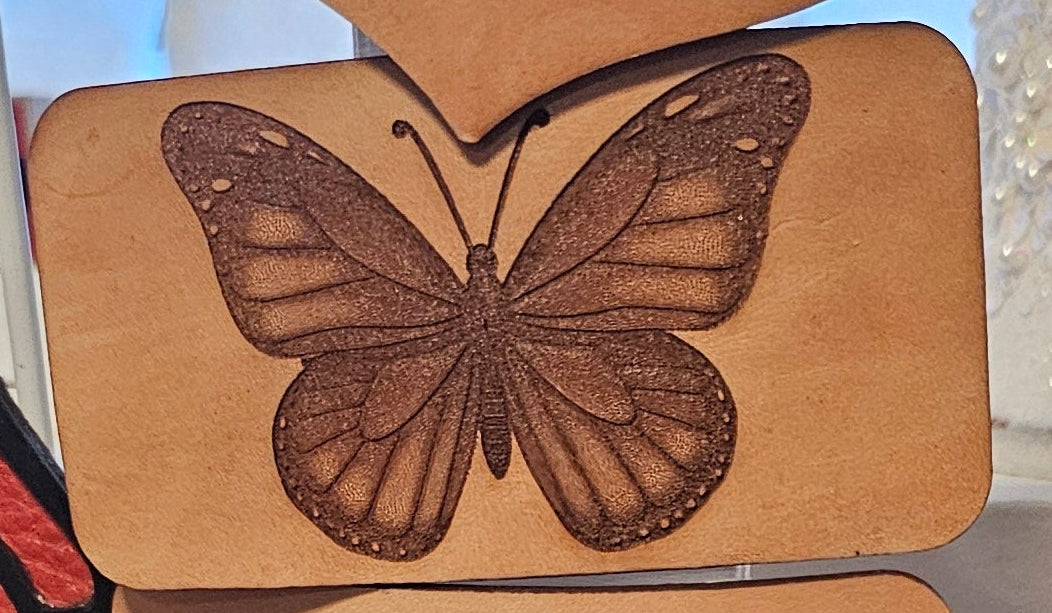 Butterfly 1